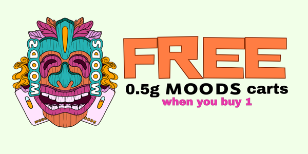 BANNER%20A%20FL.png?width=1200&upscale=true&name=BANNER%20A%20FL